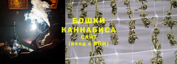 прущие грибы Дмитровск