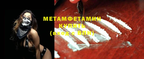 прущие грибы Дмитровск