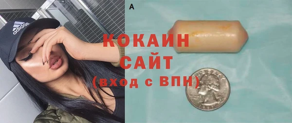 прущие грибы Дмитровск
