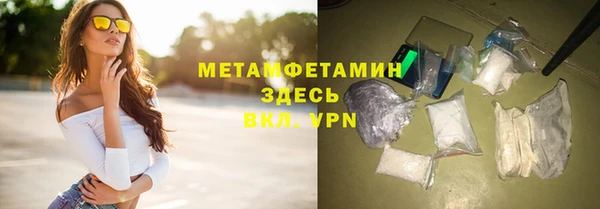 прущие грибы Дмитровск