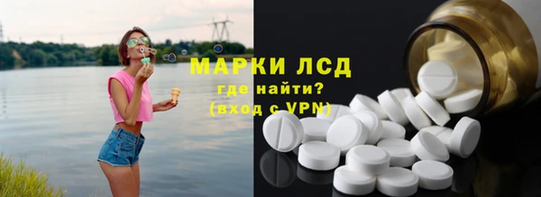 прущие грибы Дмитровск