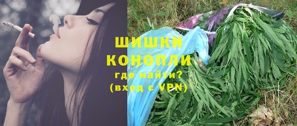 прущие грибы Дмитровск