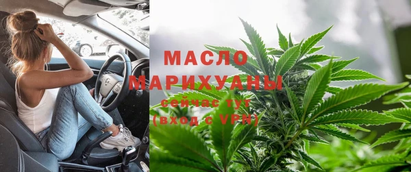прущие грибы Дмитровск