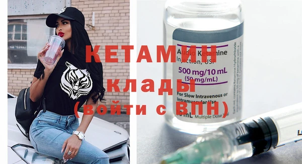 прущие грибы Дмитровск