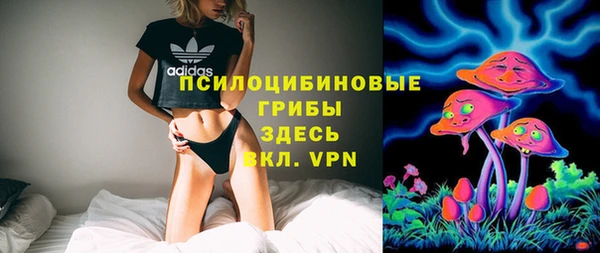 не бодяженный Дмитров